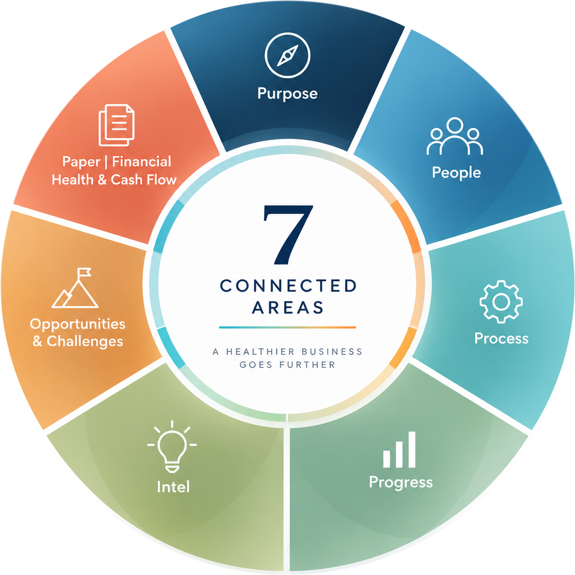 Seven connected areas of Business Health